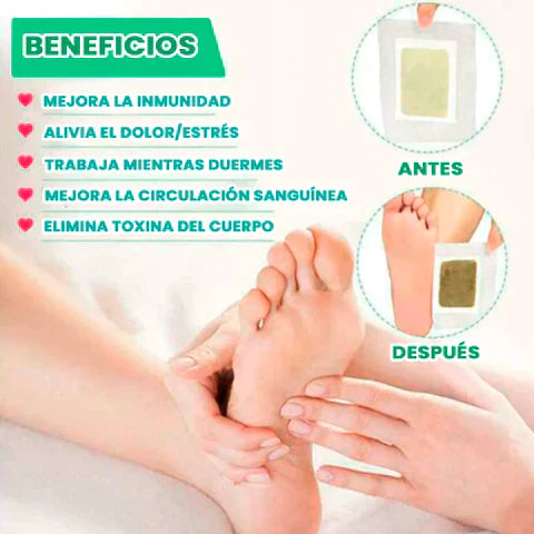 🌿 PARCHES DESINTOXICANTES KINOKI 2X1🌿-ALTA CALIDAD