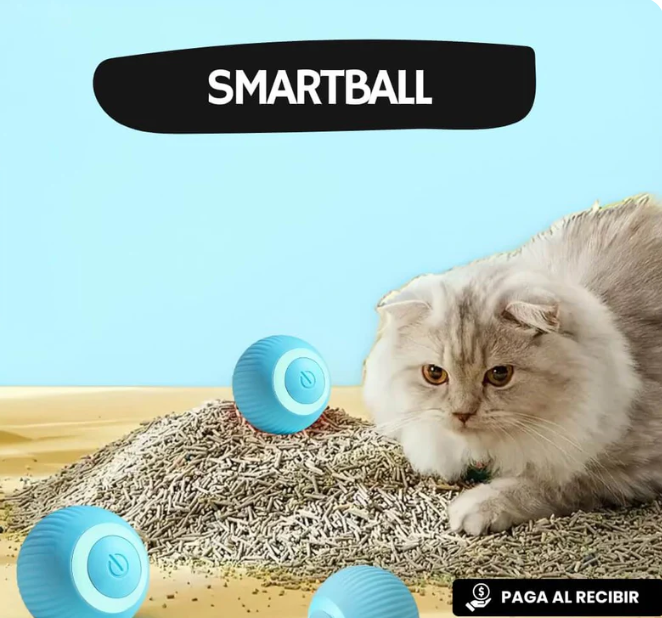 PELOTA INTERACTIVA PARA MASCOTA - ENVIO GRATIS