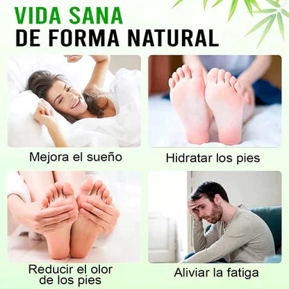 🌿 PARCHES DESINTOXICANTES KINOKI 2X1🌿-ALTA CALIDAD