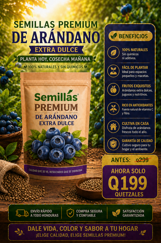 Semillas PREMIUM Arándanos Dulce